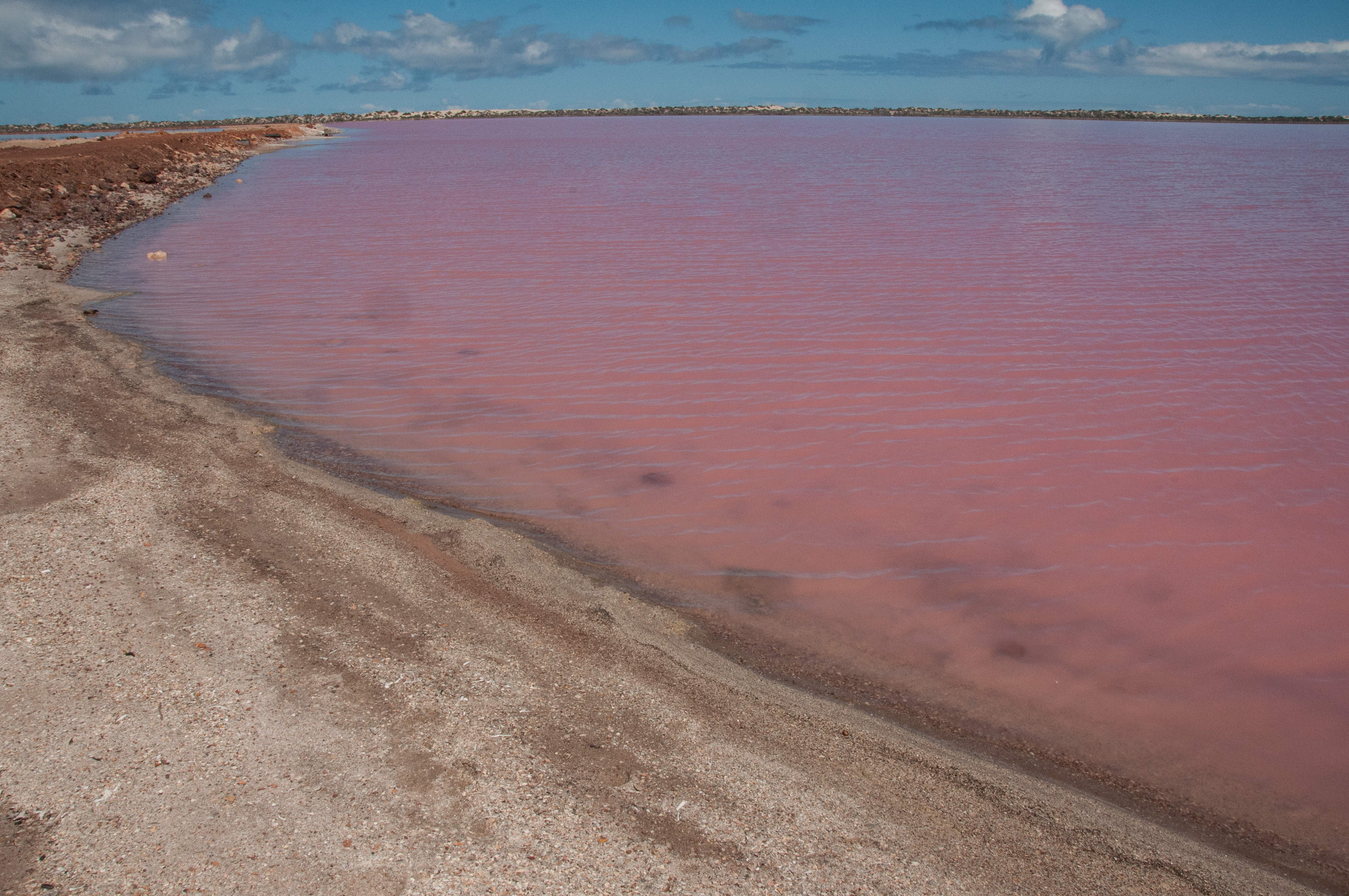 Есть розовое озеро. Розовое озеро Хиллер Австралия. Озеро Хиллер (остров Миддл). Озеро Ретба Сенегал. Озеро Хильер в Австралии.